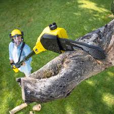 Best Pest Control for Lawns  in Latta, SC